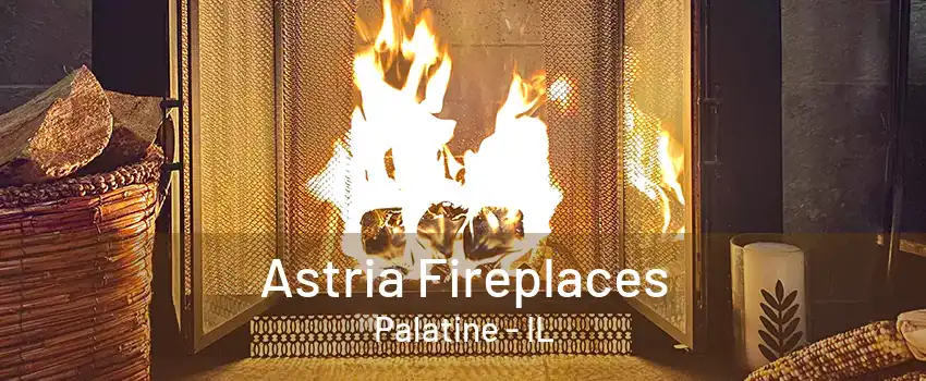 Astria Fireplaces Palatine - IL