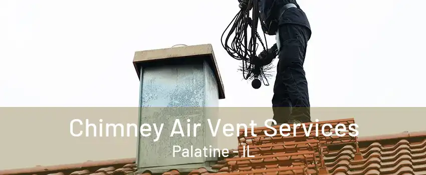 Chimney Air Vent Services Palatine - IL