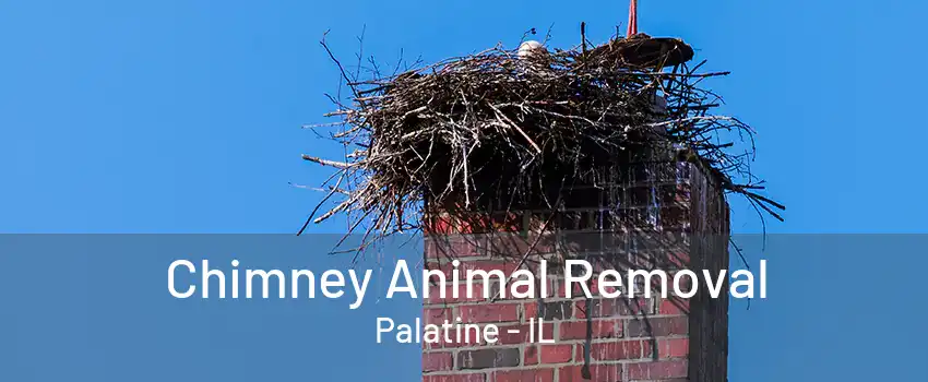 Chimney Animal Removal Palatine - IL