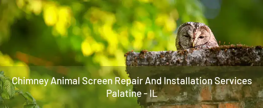 Chimney Animal Screen Repair And Installation Services Palatine - IL