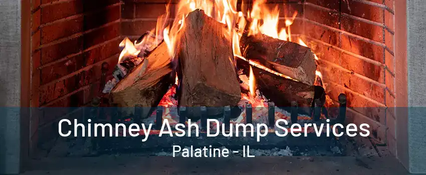 Chimney Ash Dump Services Palatine - IL