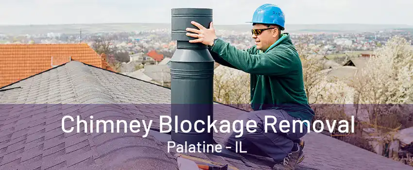 Chimney Blockage Removal Palatine - IL