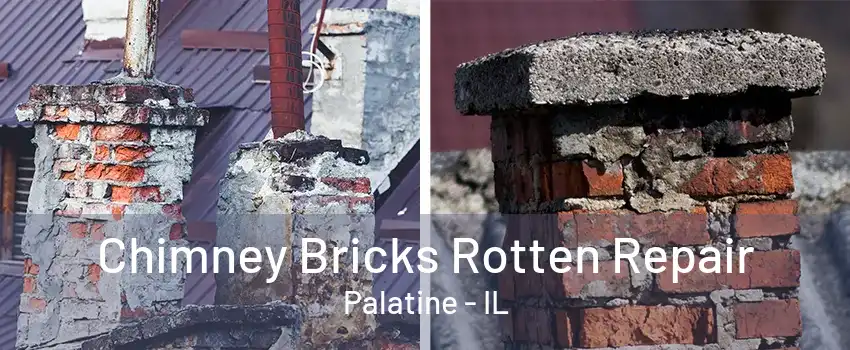 Chimney Bricks Rotten Repair Palatine - IL