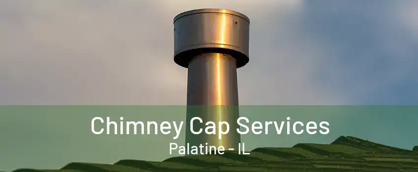 Chimney Cap Services Palatine - IL