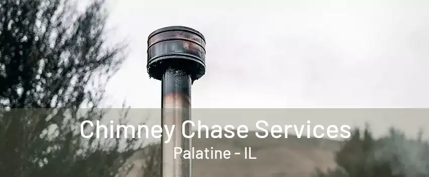 Chimney Chase Services Palatine - IL