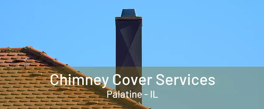 Chimney Cover Services Palatine - IL