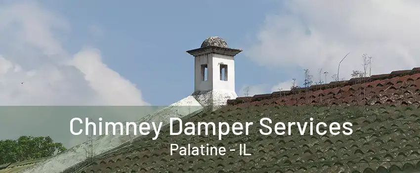 Chimney Damper Services Palatine - IL