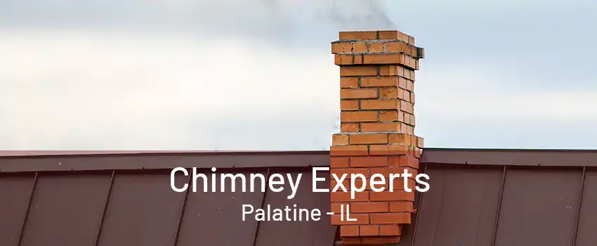 Chimney Experts Palatine - IL