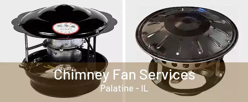 Chimney Fan Services Palatine - IL