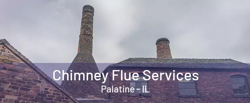 Chimney Flue Services Palatine - IL