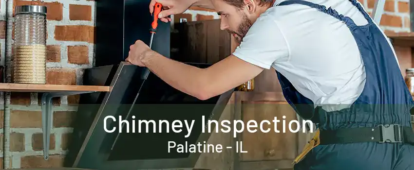 Chimney Inspection Palatine - IL