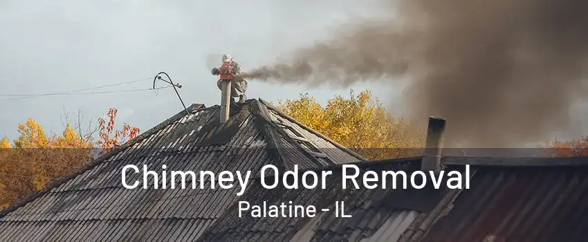 Chimney Odor Removal Palatine - IL