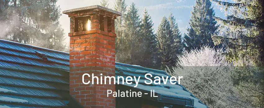 Chimney Saver Palatine - IL