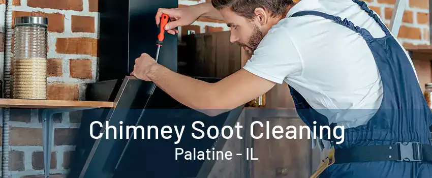 Chimney Soot Cleaning Palatine - IL