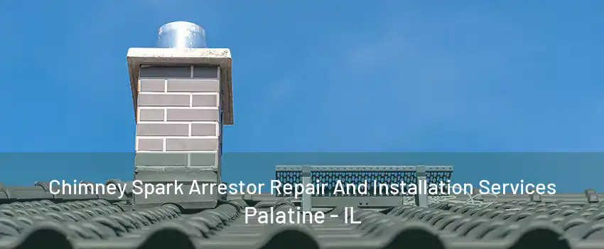 Chimney Spark Arrestor Repair And Installation Services Palatine - IL