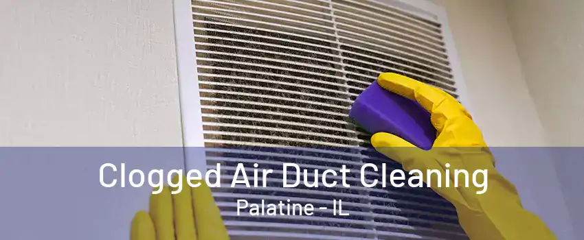 Clogged Air Duct Cleaning Palatine - IL