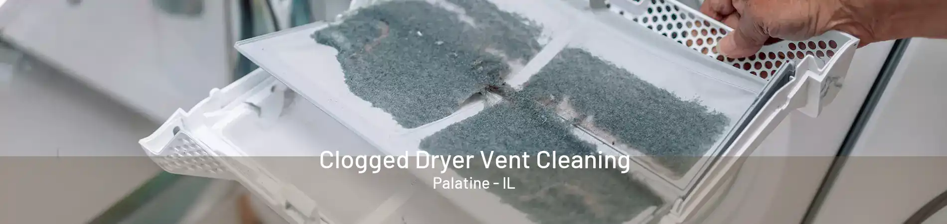 Clogged Dryer Vent Cleaning Palatine - IL