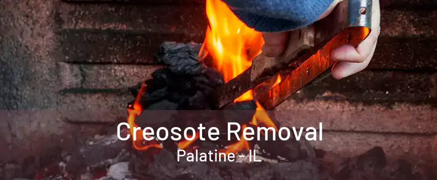 Creosote Removal Palatine - IL