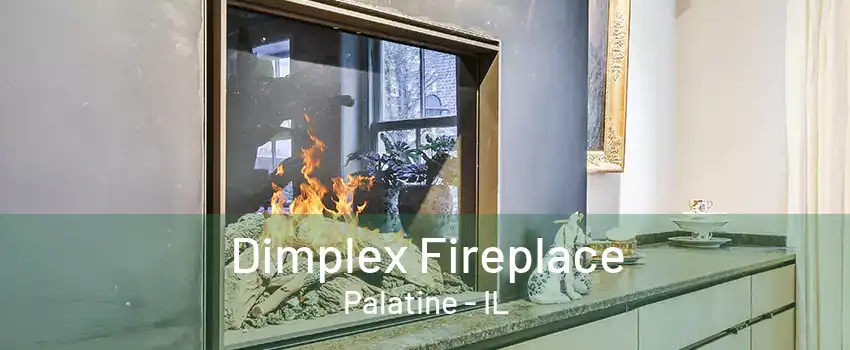 Dimplex Fireplace Palatine - IL