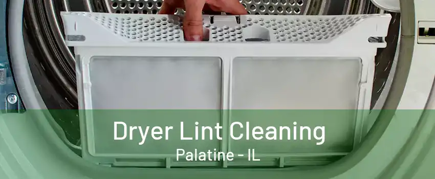 Dryer Lint Cleaning Palatine - IL