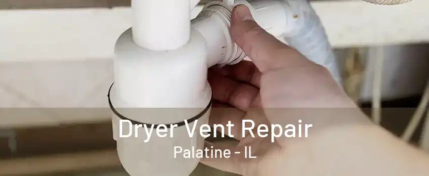 Dryer Vent Repair Palatine - IL