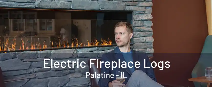 Electric Fireplace Logs Palatine - IL