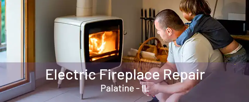 Electric Fireplace Repair Palatine - IL