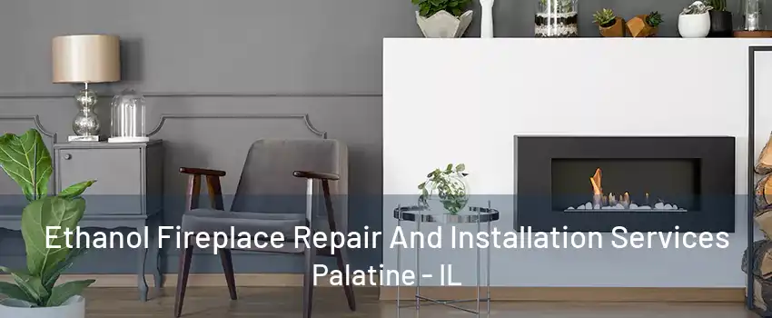 Ethanol Fireplace Repair And Installation Services Palatine - IL