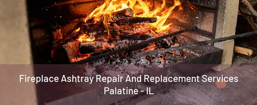 Fireplace Ashtray Repair And Replacement Services Palatine - IL