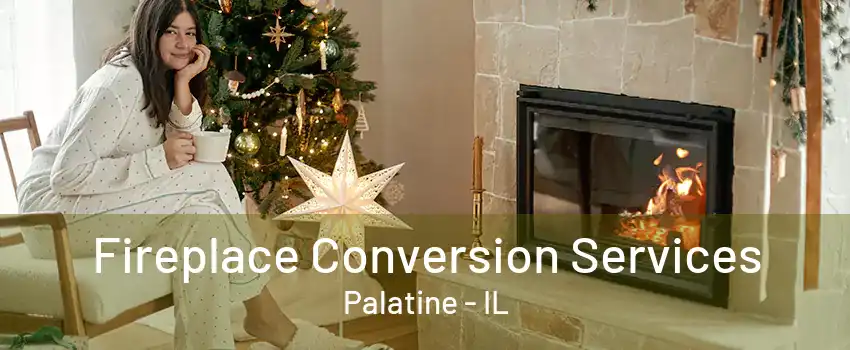 Fireplace Conversion Services Palatine - IL