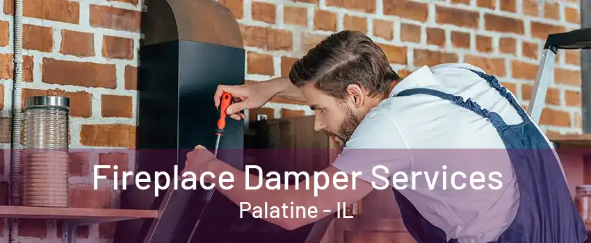 Fireplace Damper Services Palatine - IL