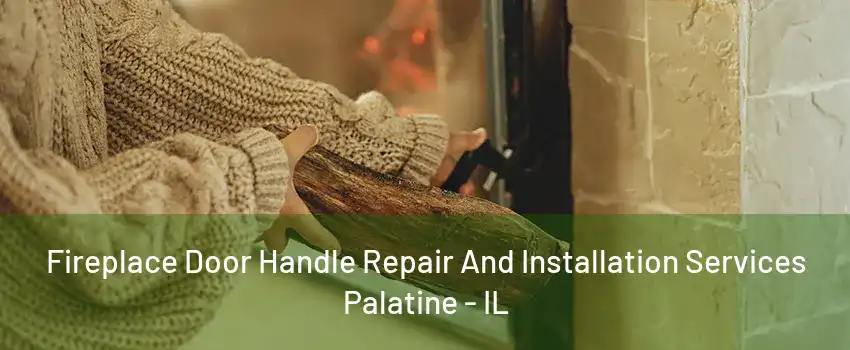 Fireplace Door Handle Repair And Installation Services Palatine - IL