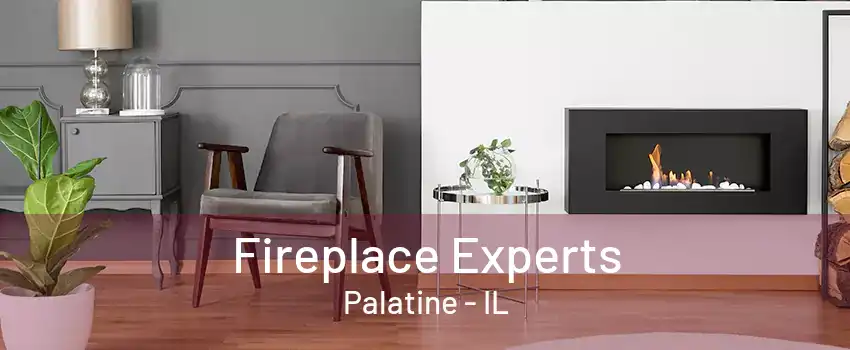 Fireplace Experts Palatine - IL