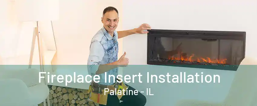 Fireplace Insert Installation Palatine - IL