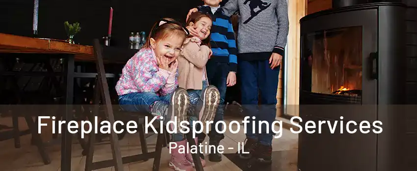 Fireplace Kidsproofing Services Palatine - IL