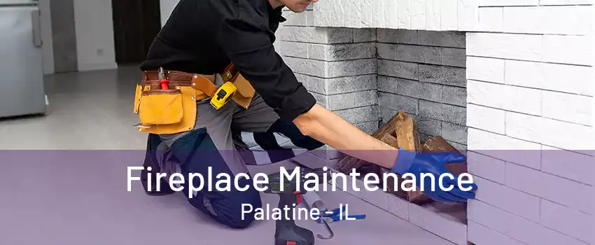 Fireplace Maintenance Palatine - IL