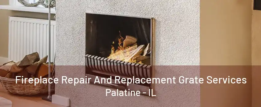 Fireplace Repair And Replacement Grate Services Palatine - IL