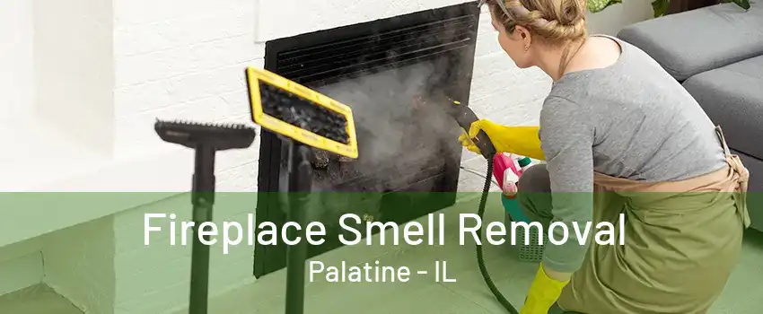 Fireplace Smell Removal Palatine - IL