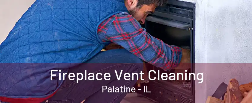 Fireplace Vent Cleaning Palatine - IL