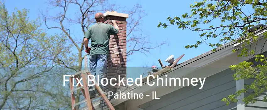 Fix Blocked Chimney Palatine - IL