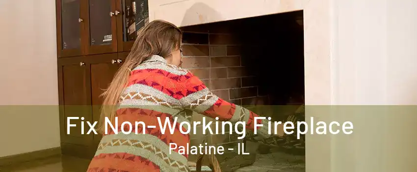 Fix Non-Working Fireplace Palatine - IL