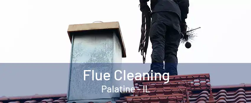 Flue Cleaning Palatine - IL