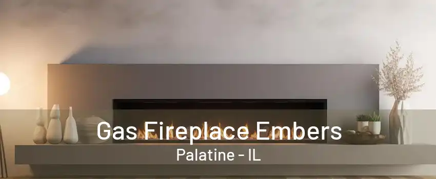 Gas Fireplace Embers Palatine - IL