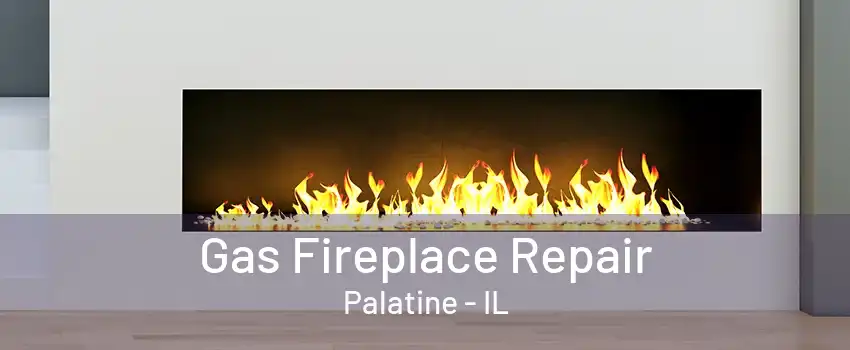 Gas Fireplace Repair Palatine - IL