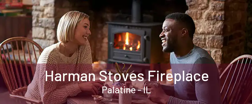 Harman Stoves Fireplace Palatine - IL