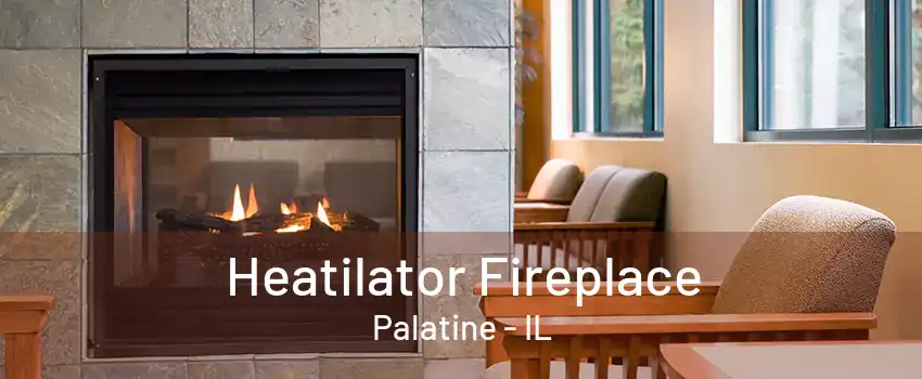 Heatilator Fireplace Palatine - IL