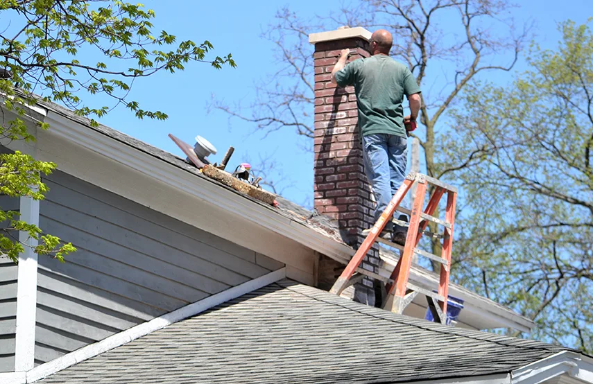 Chimney & Fireplace Inspections Services in Palatine, IL