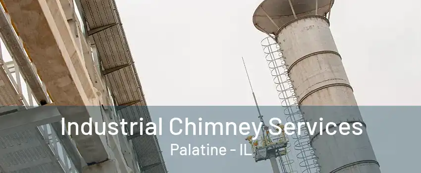 Industrial Chimney Services Palatine - IL