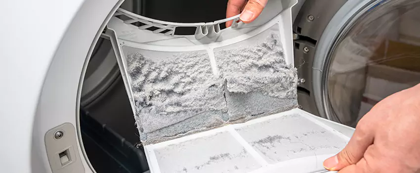 Best Dryer Lint Removal Company in Palatine, Illinois