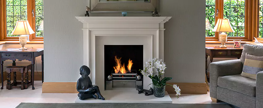 Astria Open-Hearth Wood Fireplaces Services in Palatine, IL